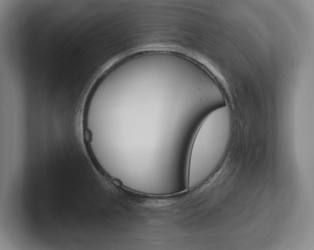 X0000102811237200808180946