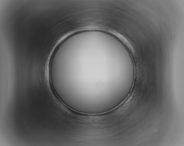 X0000102811238200808180946
