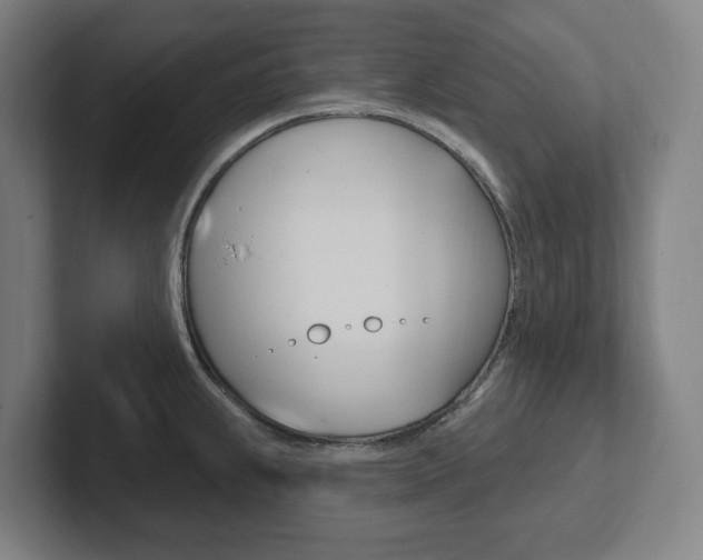 X0000102811239200808180946