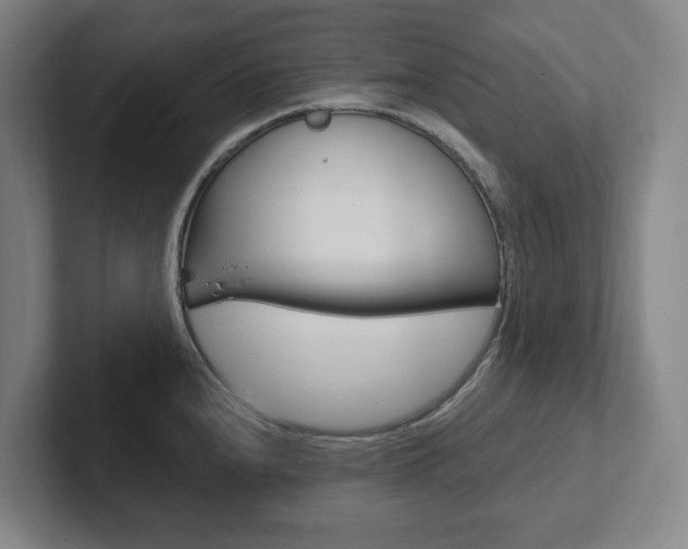 X0000102811240200808180946
