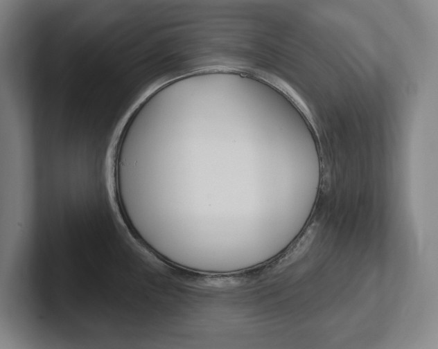 X0000102811243200808180946