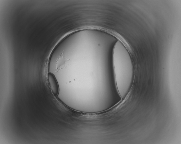 X0000102811244200808180946