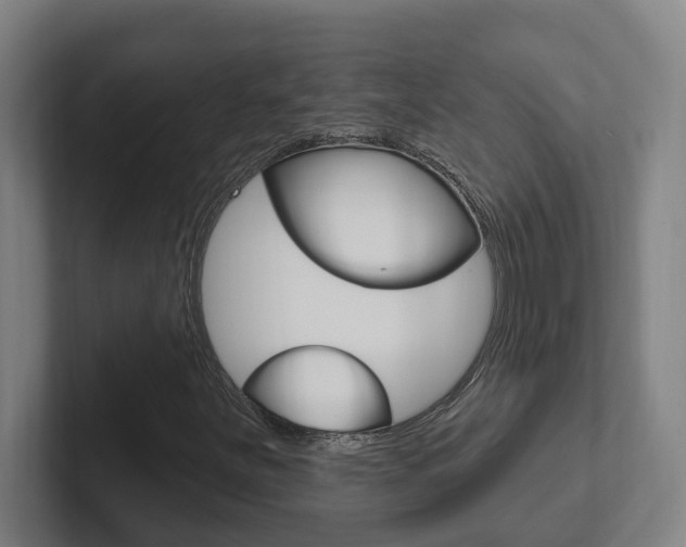X0000102811251200808180946