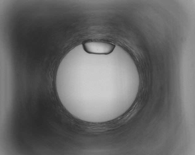 X0000102811252200808180946