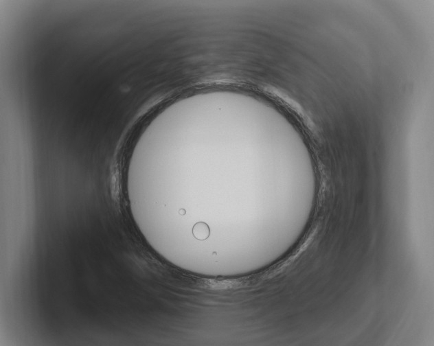 X0000102811258200808180946