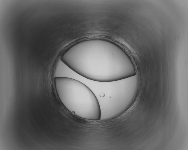 X0000102811259200808180946