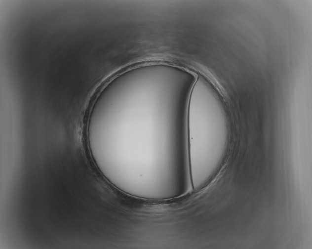 X0000102811260200808180946