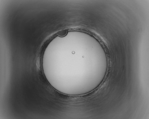 X0000102811262200808180946