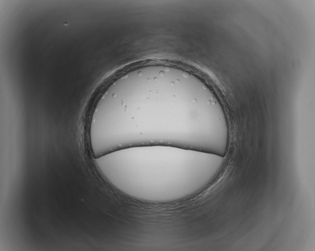X0000102811263200808180946