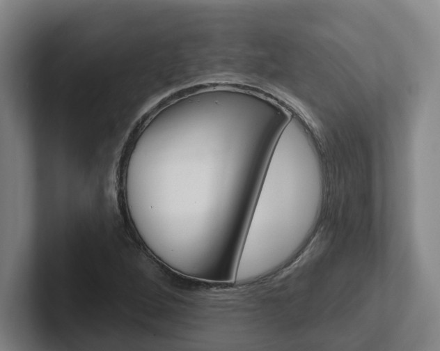 X0000102811264200808180946