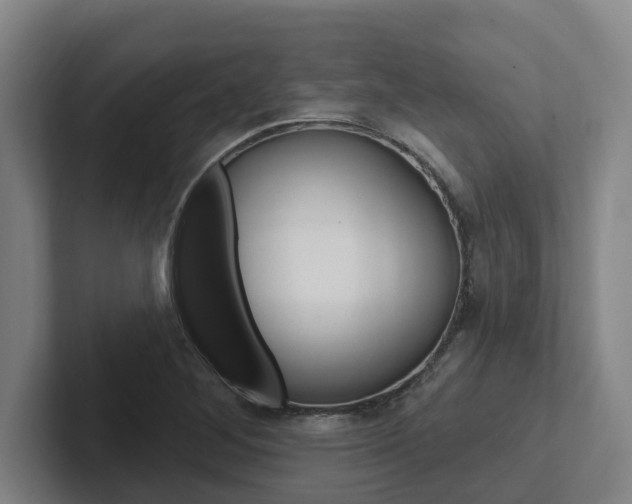 X0000102811268200808180946