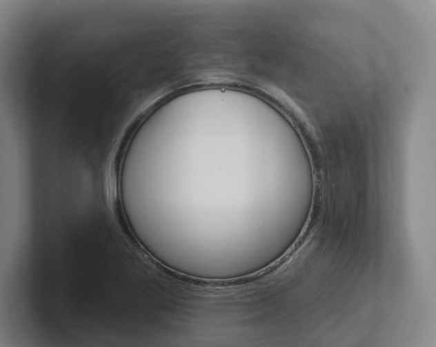 X0000102811269200808180945