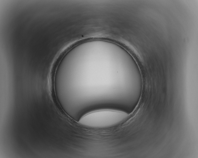X0000102811270200808180945