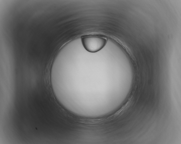 X0000102811273200808180945