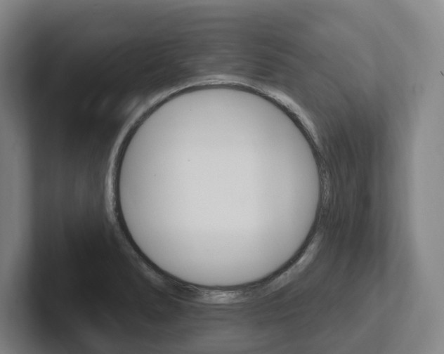X0000102811278200808180945