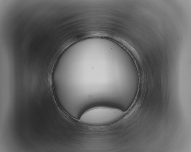 X0000102811281200808180945