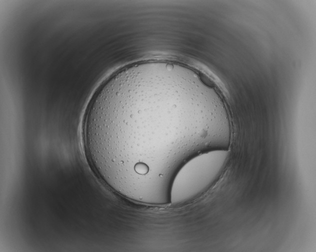 X0000102811283200808180945