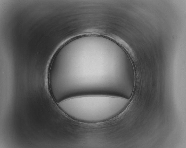 X0000102811288200808180945