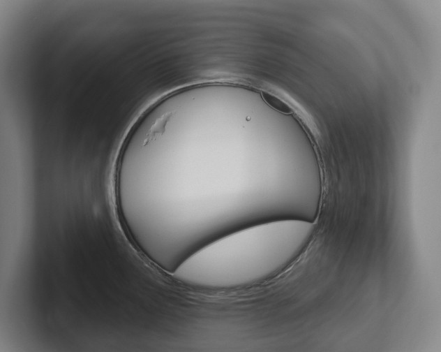 X0000102811291200808180945