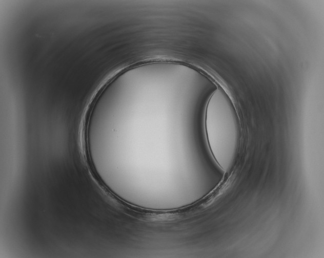 X0000102811293200808180945
