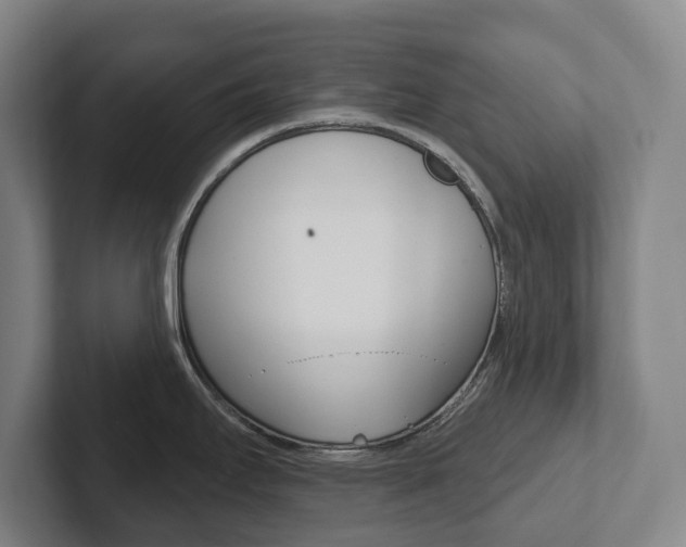 X0000102811295200808180945