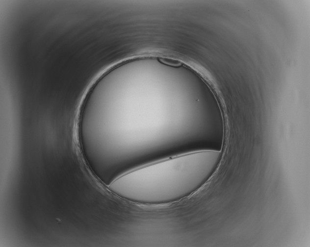 X0000102811296200808180945