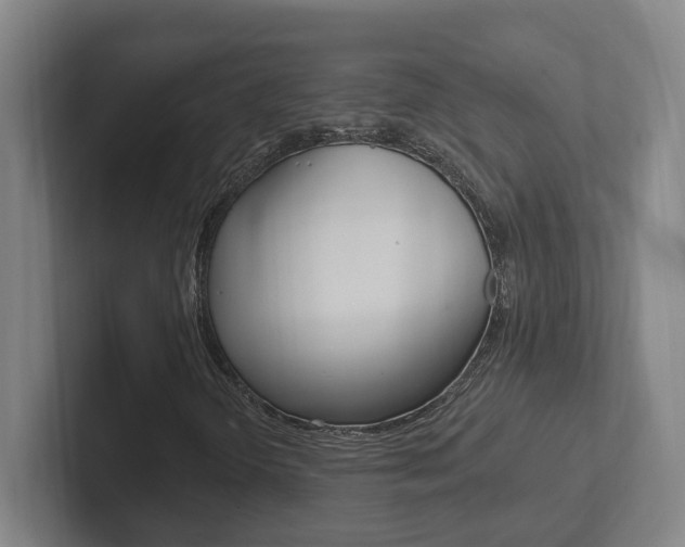 X0000102811298200808180945