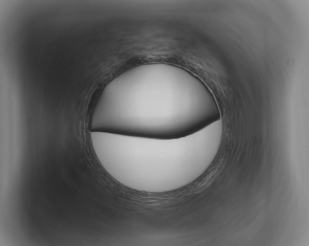 X0000102811300200808180945