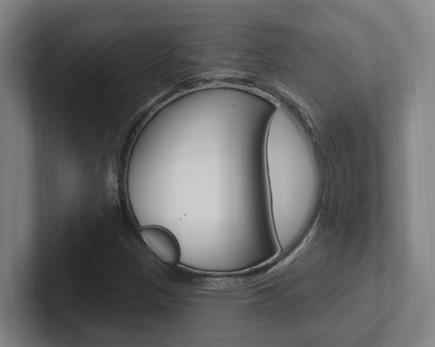 X0000102811305200808180945