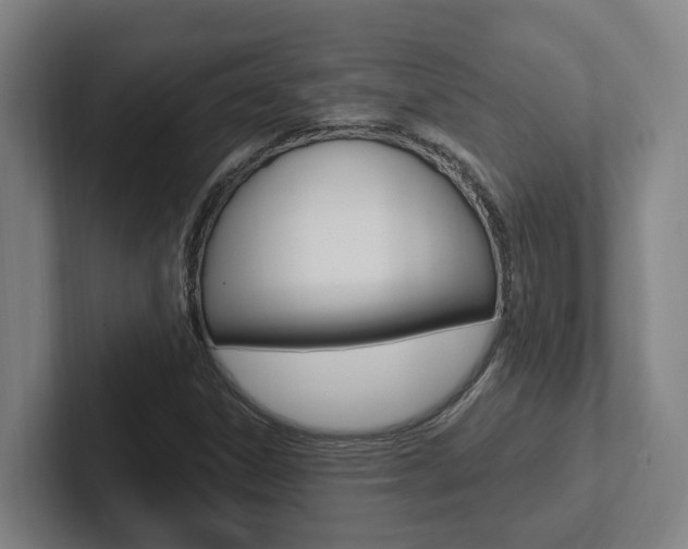 X0000102811306200808180945