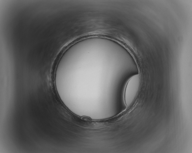 X0000102811308200808180945
