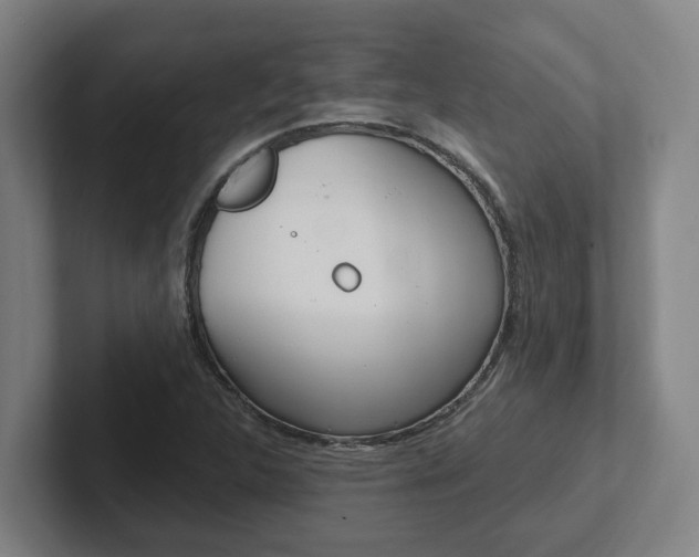 X0000102811312200808180945