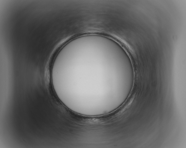 X0000102811317200808180945
