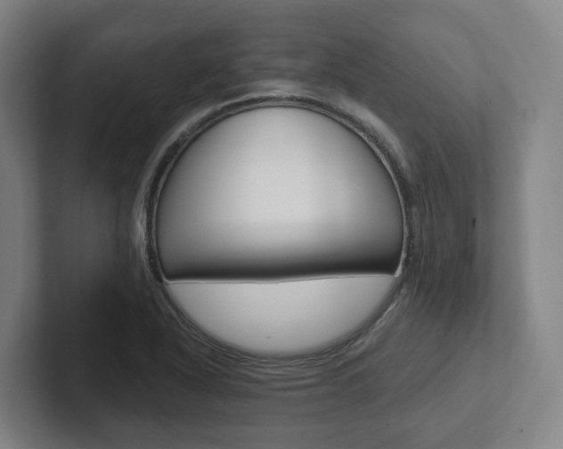 X0000102811318200808180945