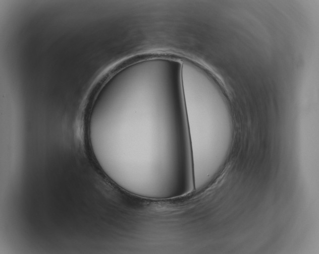 X0000102811319200808180945