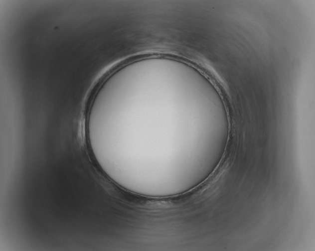 X0000102811320200808180945