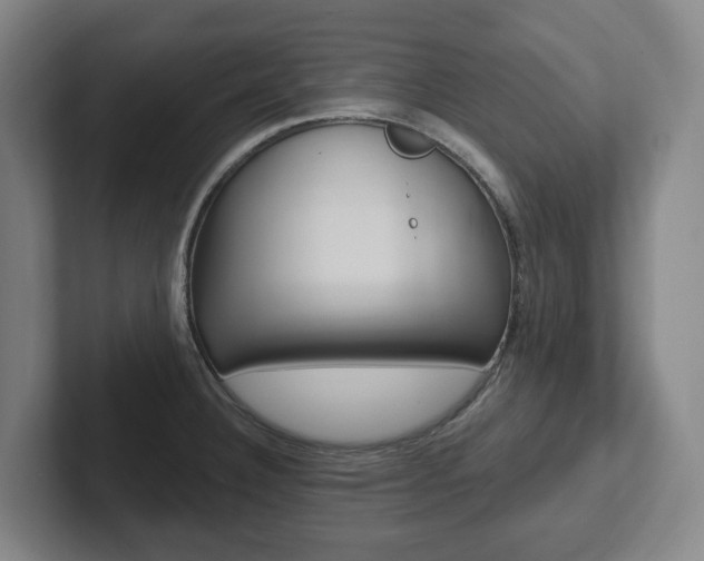 X0000102811332200808180945