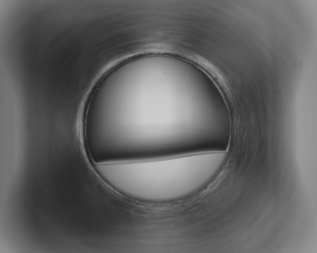 X0000102811334200808180945