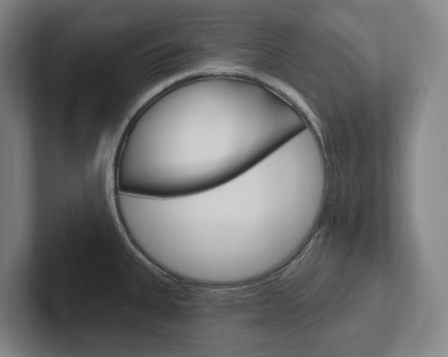 X0000102811335200808180945