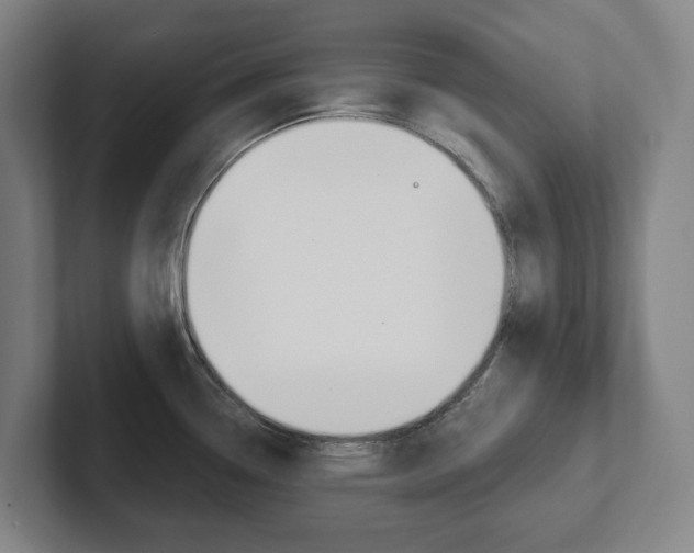 X0000102811338200808180945