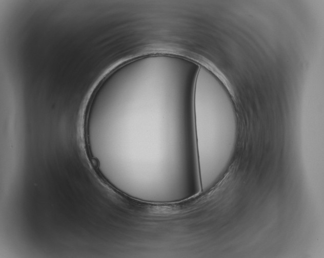 X0000102811339200808180945