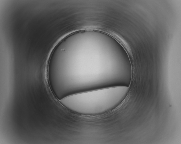 X0000102811340200808180945