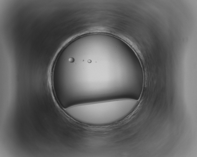 X0000102811342200808180945