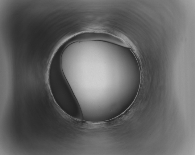 X0000102811344200808180945
