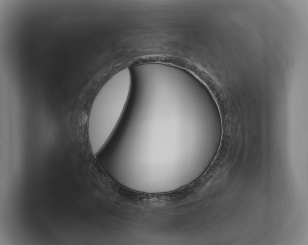 X0000102811351200808180944