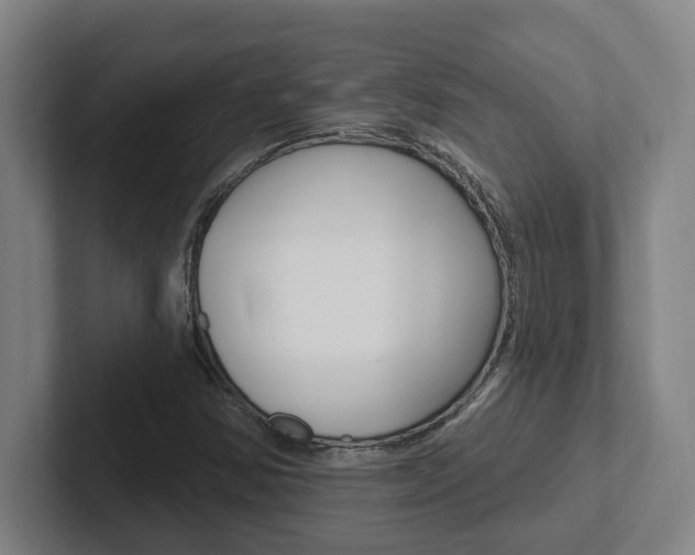 X0000102811354200808180944