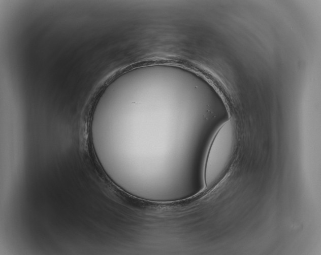 X0000102811355200808180944