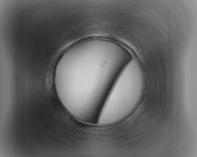 X0000102811359200808180944