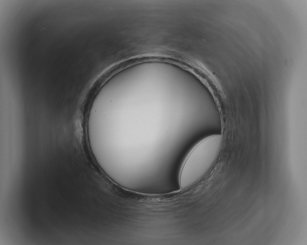 X0000102811360200808180944