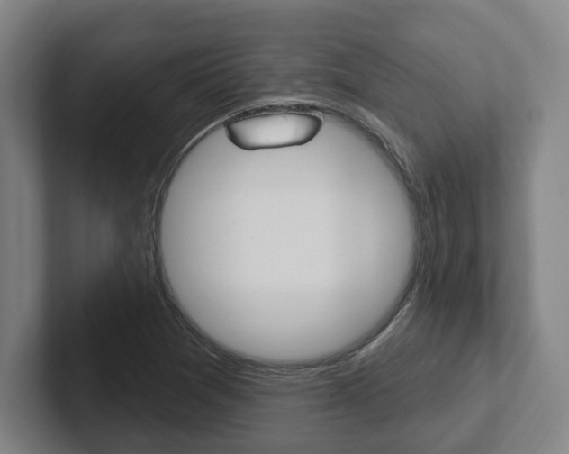 X0000102811361200808180944